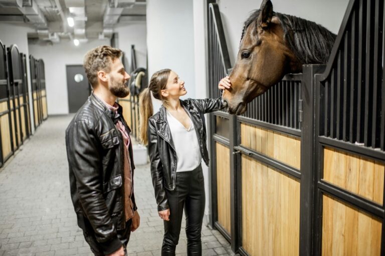 Combien coûte un cheval ? Prix et frais annuels