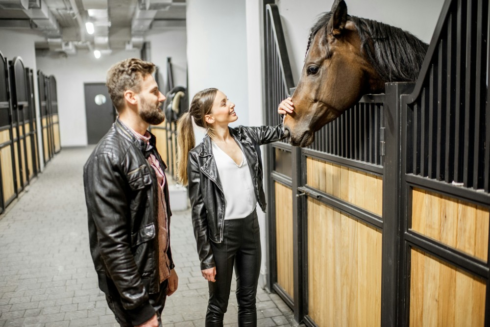 Acheter un cheval prix