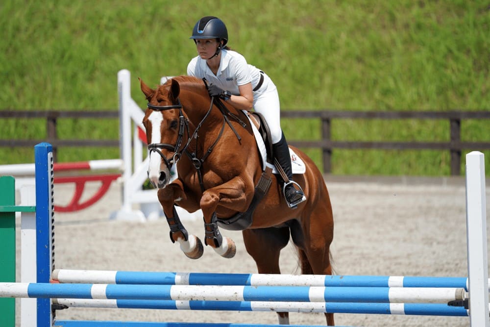 Cavalière sautant un obstacle en concours