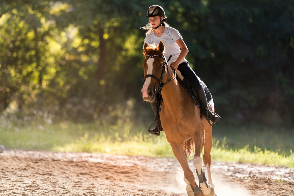 Combien de Galop en équitation