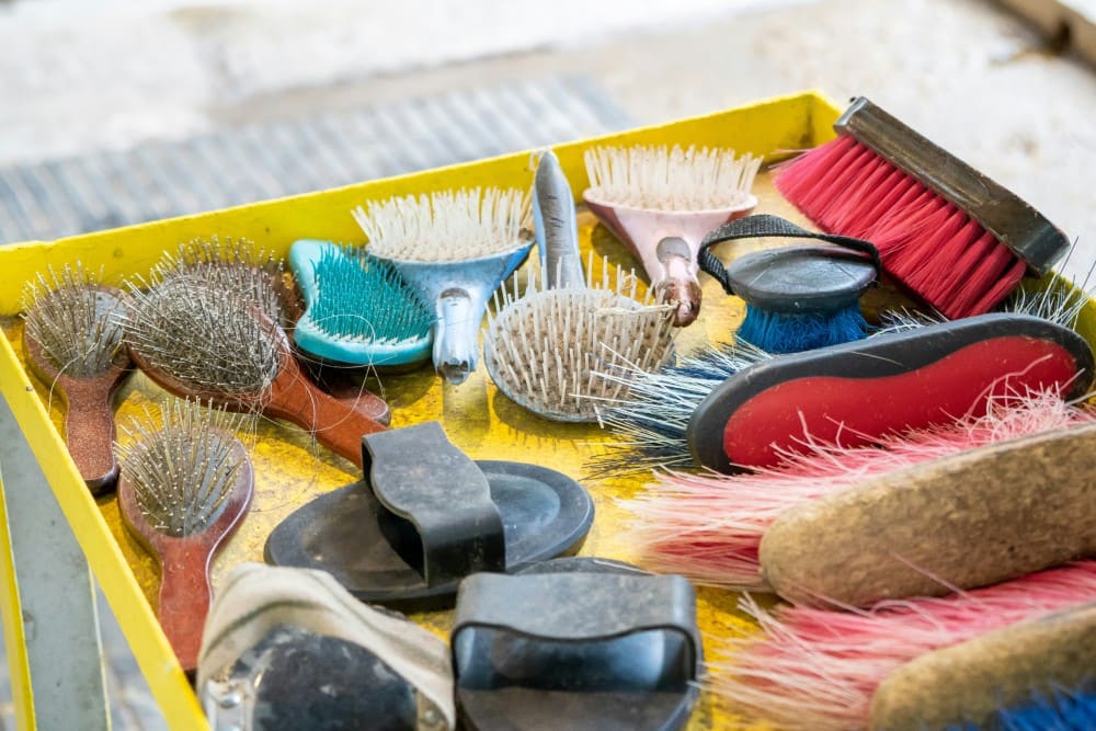 Sac de pansage, brosses pour nettoyer le cheval