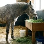 Featured image placeholder 16:9