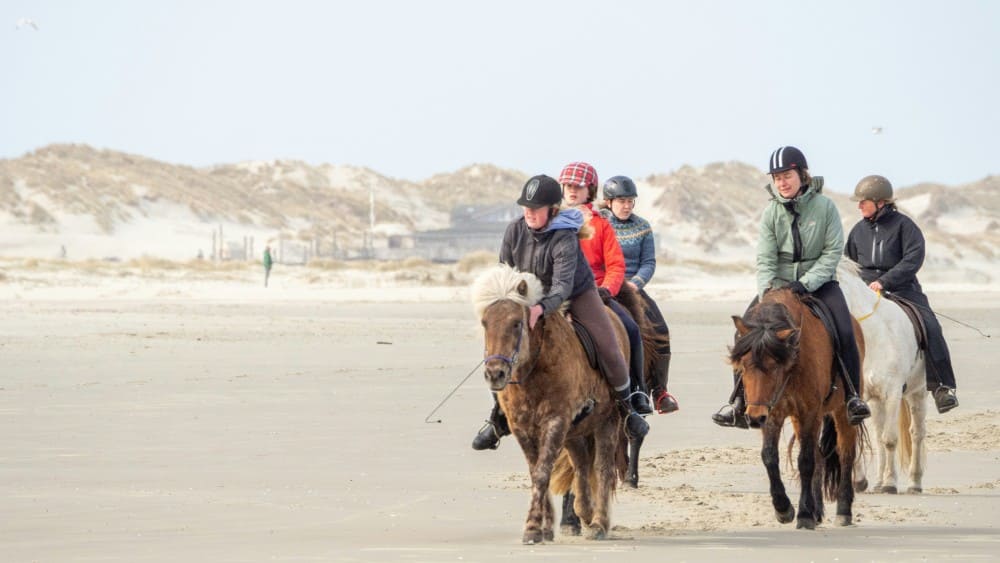 Balade à poney à la mer