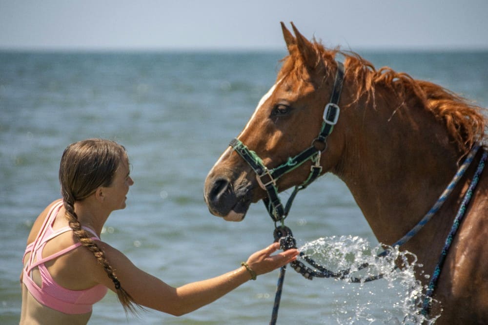 Cavalière qui rafraichit son cheval dans l'eau de mer