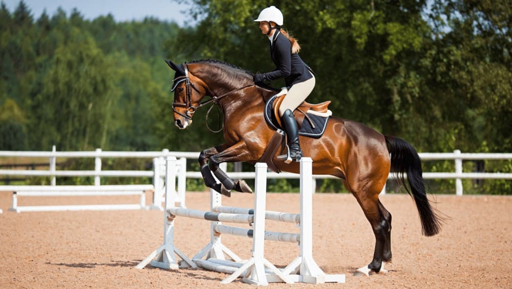 Cavalière passant son galop 3 saut d'obstacles