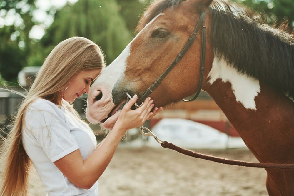 Cavalière proche de son cheval, soins et câlins