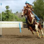 Featured image placeholder 16:9