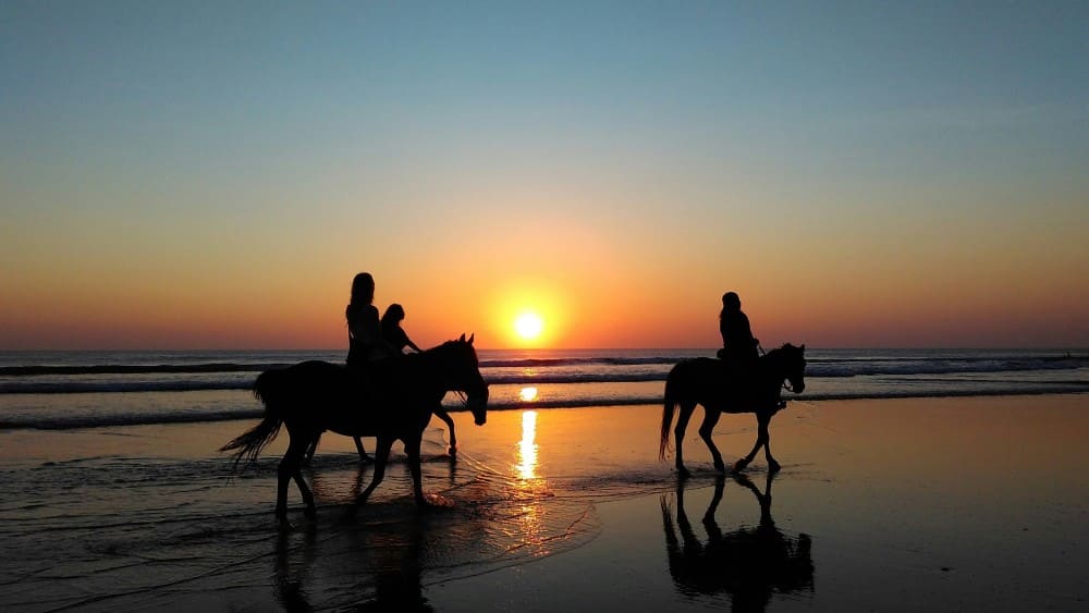 Chevaux et cavaliers sur une plage au coucher du soleil