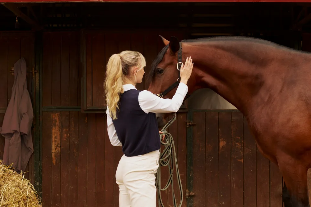 Achat d'un cheval : les 10 étapes incontournables