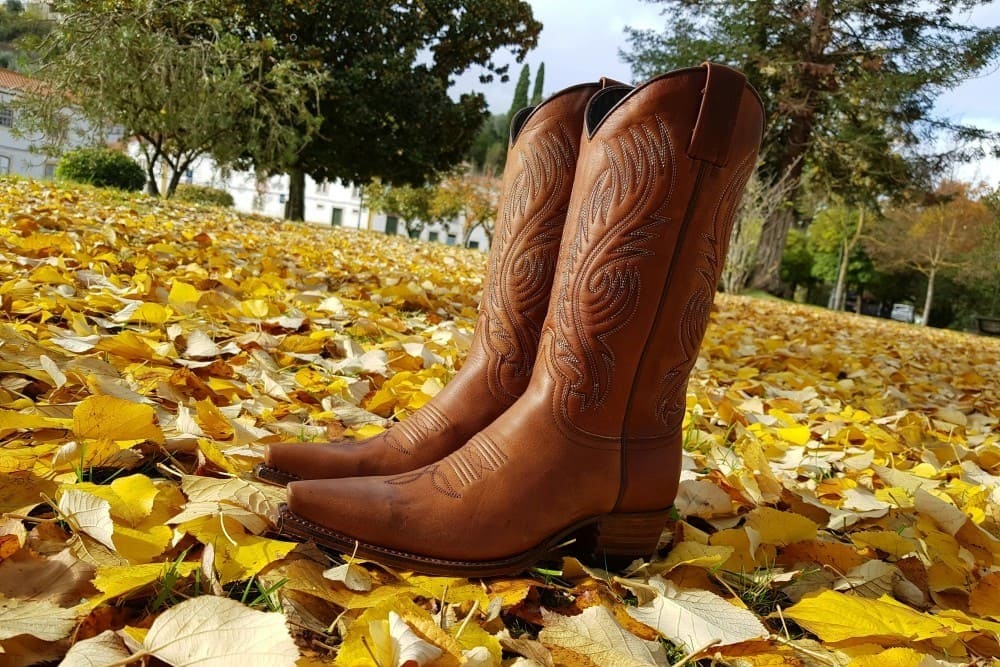 Bottes de cowboy