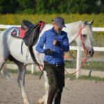 Débourrer un cheval : Guide complet pour réussir le débourrage