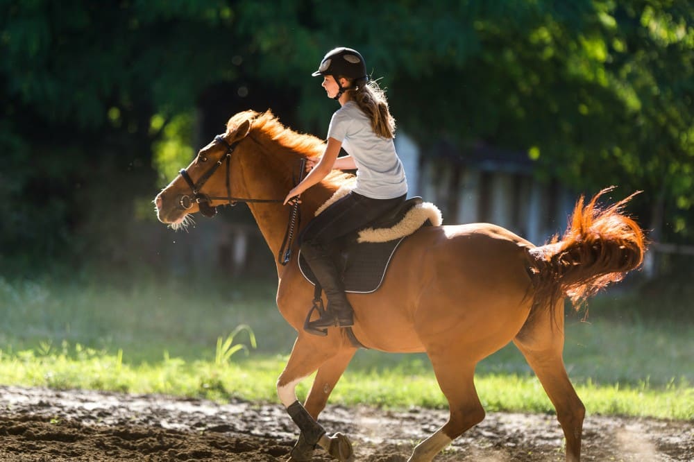 Cavalière en plein examen du galop 4 quiz