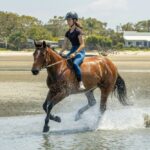 Featured image placeholder 16:9