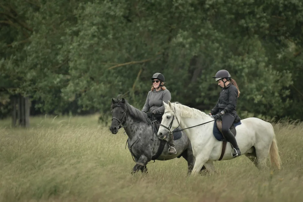 Deux cavalières en sortie extérieure dans un pré ; les sorties longues et régulières sont la base de la préparation à l'endurance équestre