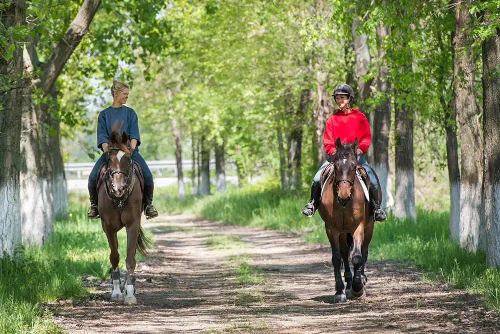 Deux cavalières en balade extérieure dans une allée arborée — tester un cheval en dehors du manège est une étape clé avant l'achat