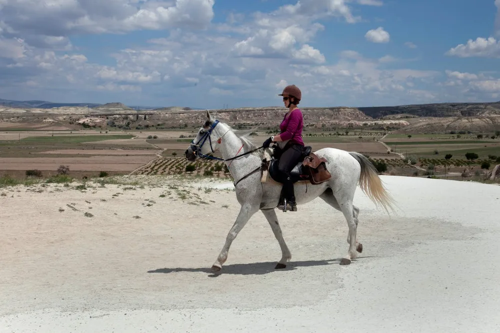 Cavalière et cheval gris sur un parcours d'endurance équestre en pleine nature : l'itinéraire est balisé mais le terrain toujours varié