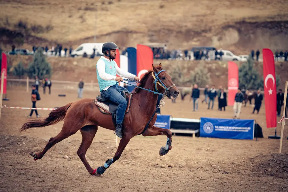 Cavalier en plein galop lors d'une course d'endurance équestre : la gestion de l'allure est au cœur de la discipline