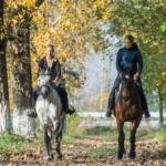 Featured image placeholder 16:9