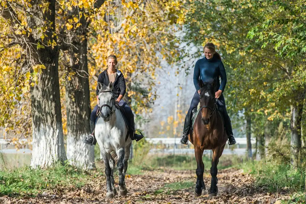 Endurance équestre : tout comprendre sur cette discipline