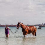 Featured image placeholder 16:9