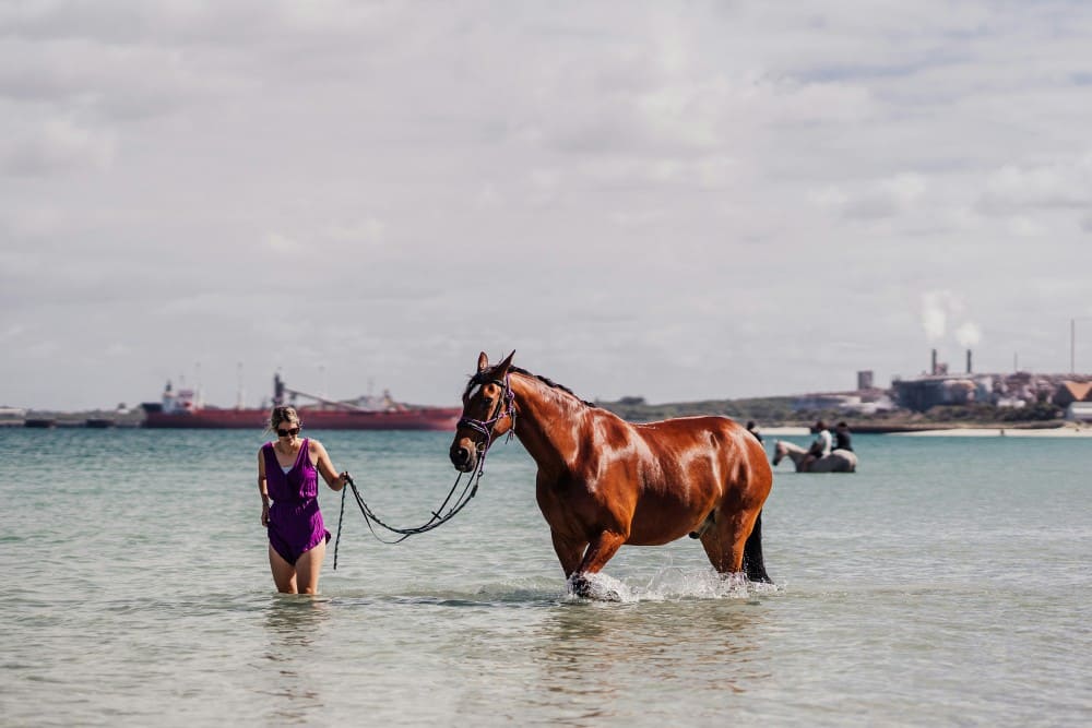 Femme dans l'eau avec son cheval