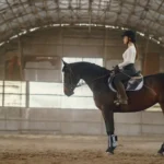 Galop 7 : programme avancé, travail en extérieur