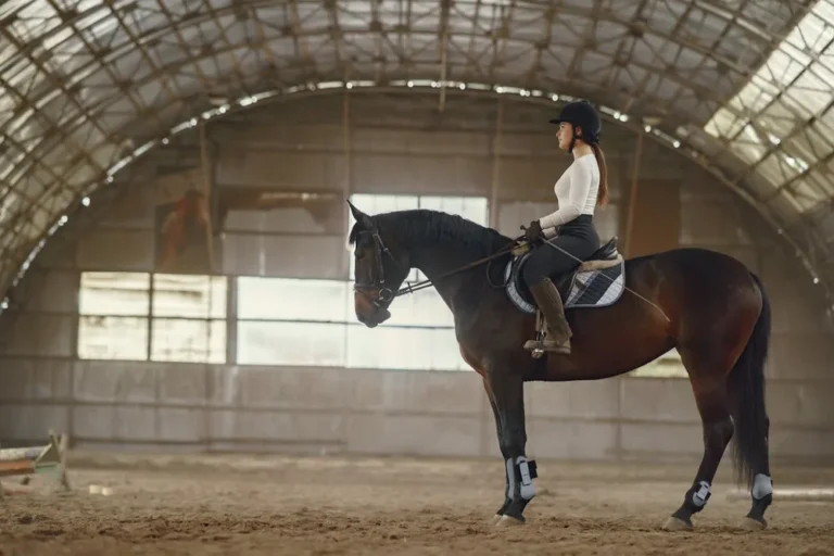 Galop 7 : programme avancé, travail en extérieur