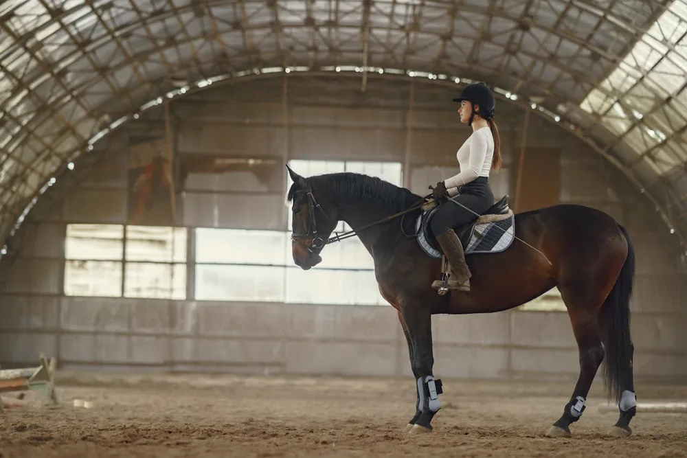 Galop 7 : programme avancé, travail en extérieur