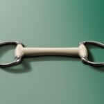 Mors cheval : Le choisir en fonction de la bouche de votre cheval