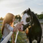 Paint Horse : Origine, caractère, prix, pour quelle équitation ?