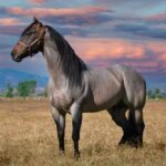 Featured image placeholder 16:9