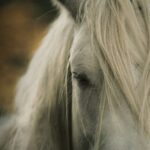 Épaule en dedans : Maîtrisez cet exercice fondamental