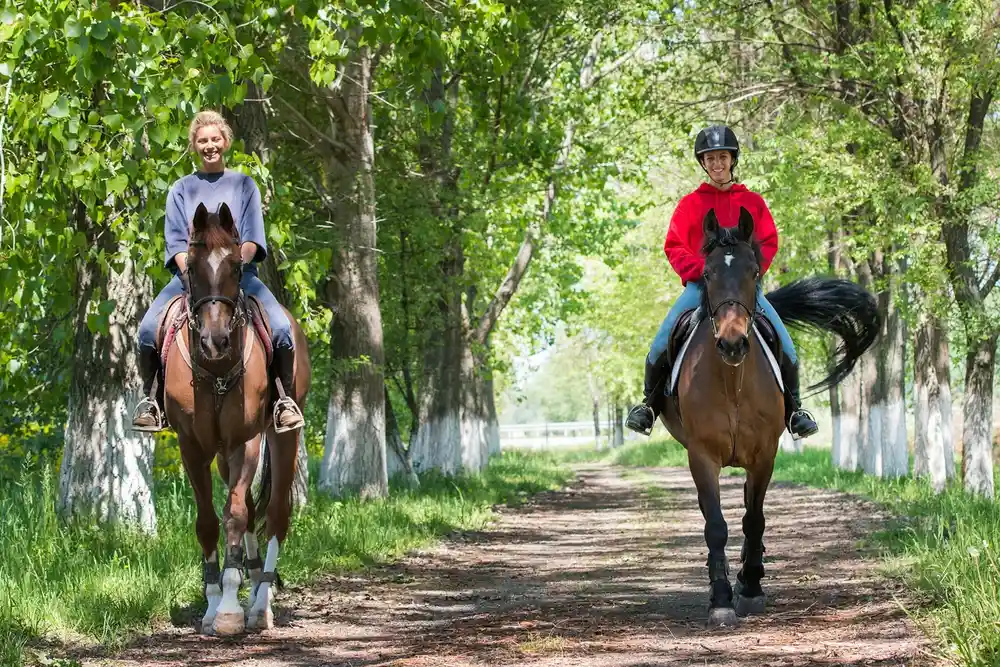 Deux cavalières en balade extérieure dans une allée arborée — préparation au cross et à la pleine nature du galop 6