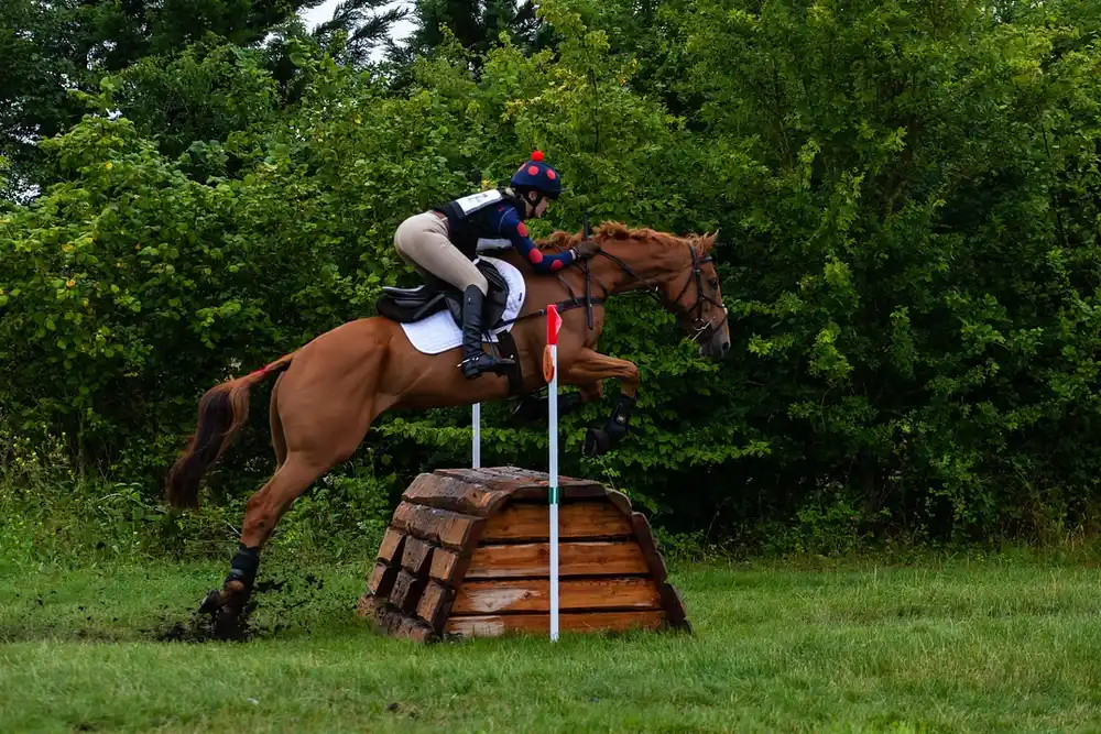 Cavalière franchissant un obstacle naturel en bois lors d'une épreuve de cross au galop 6