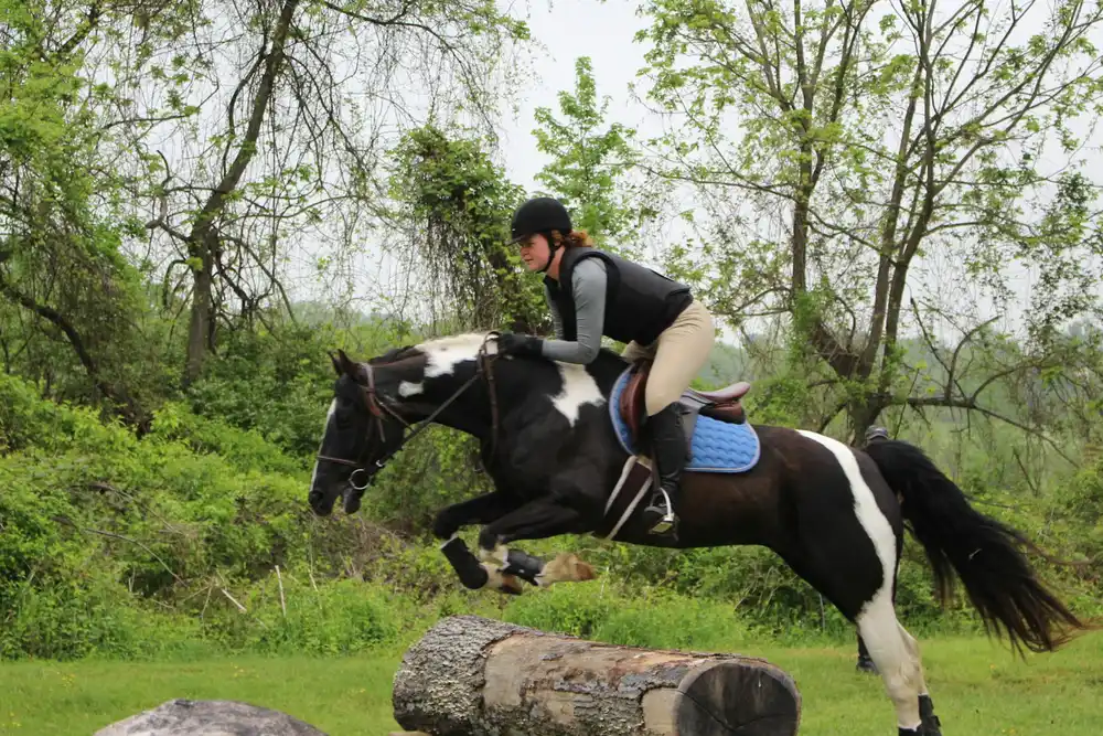 Cavalière franchissant un obstacle naturel en bois lors d'une épreuve de cross en terrain varié au galop 7