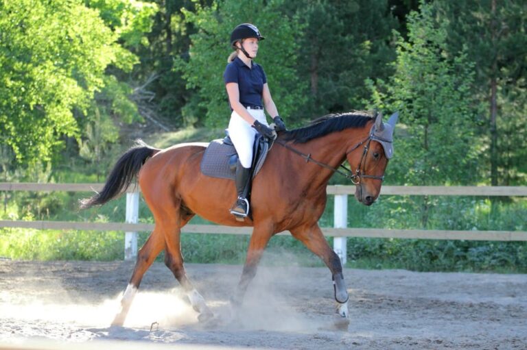 Cavalière qui fait du trot assis dans une carrière