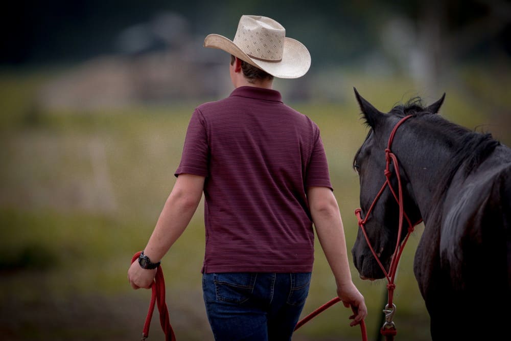 Travail à pied à cheval, cowboy avec son cheval