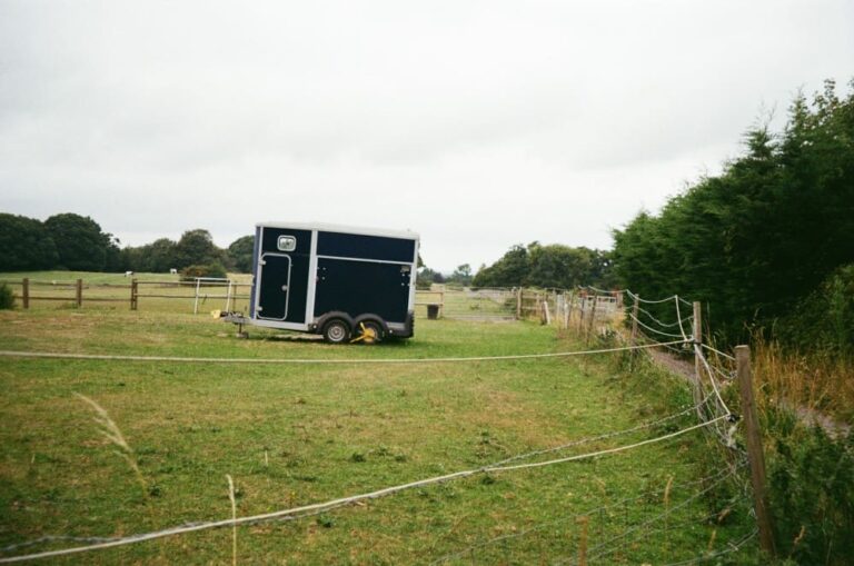 Assurance van chevaux : garanties, tarifs et conseils pour bien choisir