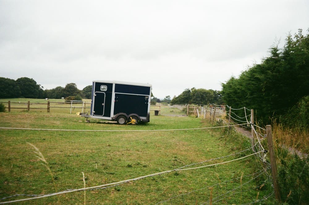 Assurance van chevaux dans un pré
