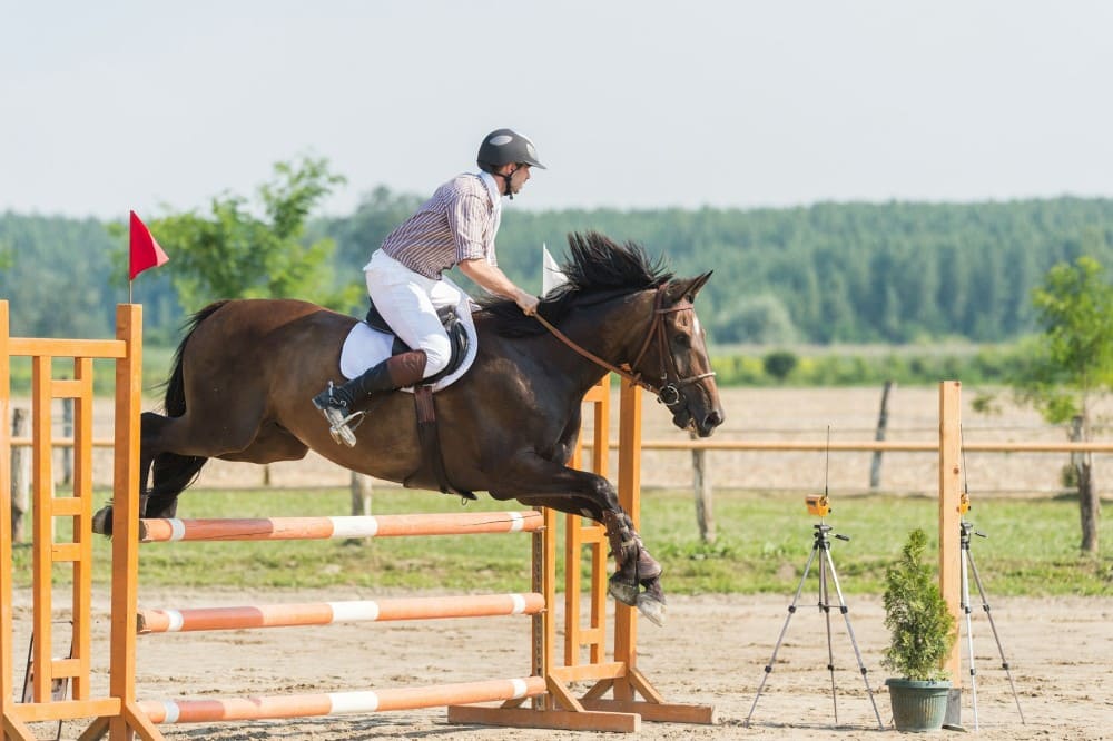 Cavalier qui saute un droit et qui porte son regard loin