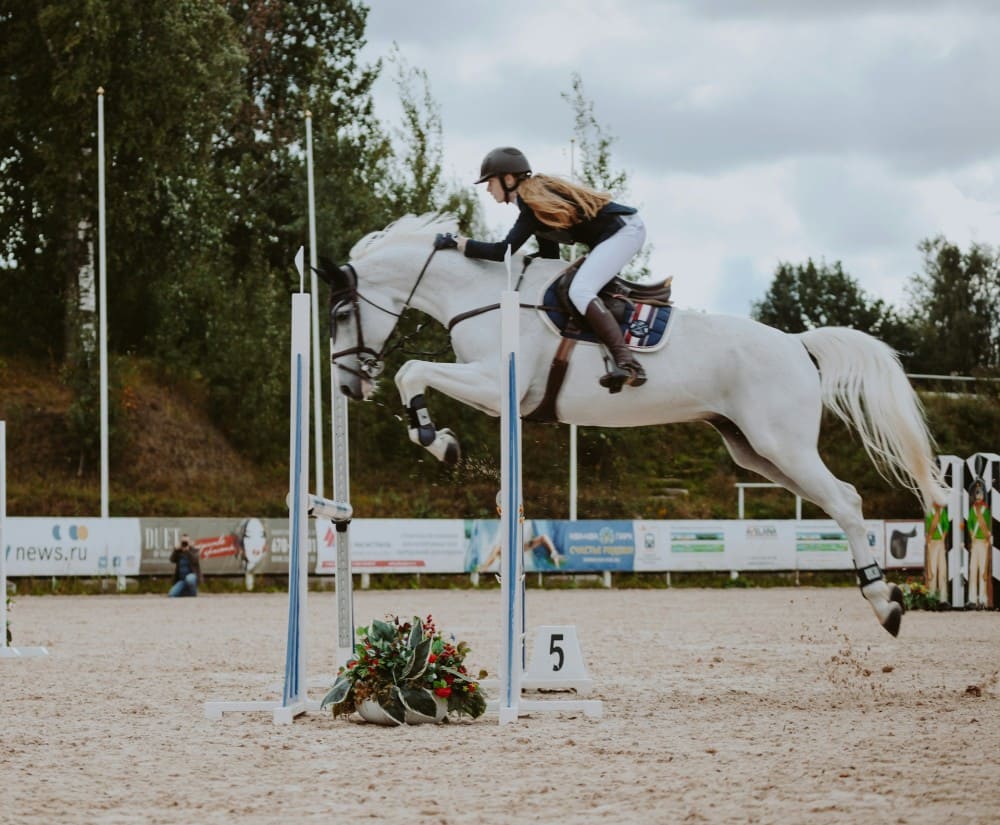 Cavalière qui saute un oxer avec un cheval gris