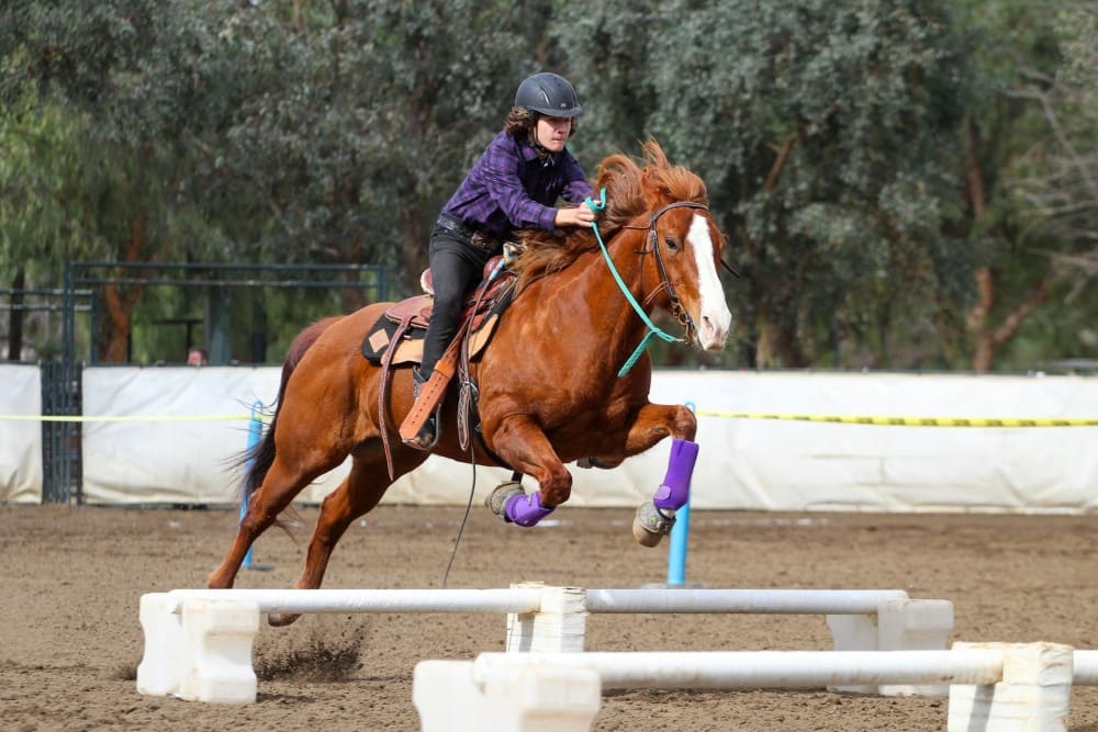 Cavalière sautant des cavaletti