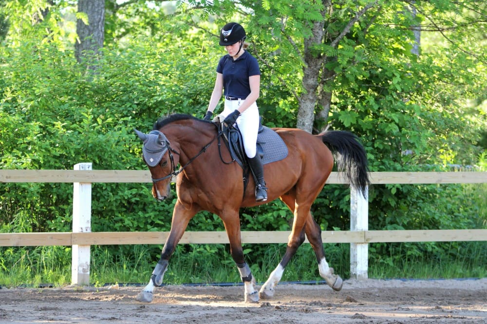 Comment améliorer son trot assis, exercices en carrière