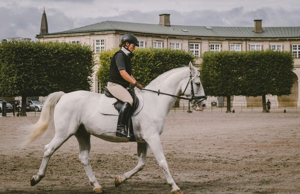 Femme à cheval au trot assis
