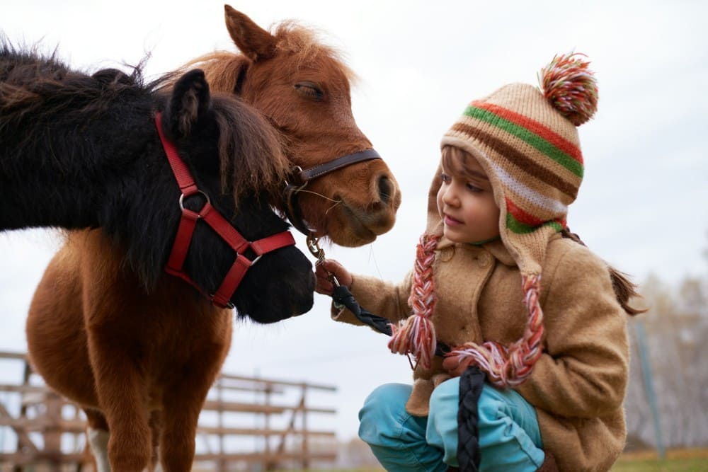 Petite fille avec deux poneys, stage d'équitation vacances enfant