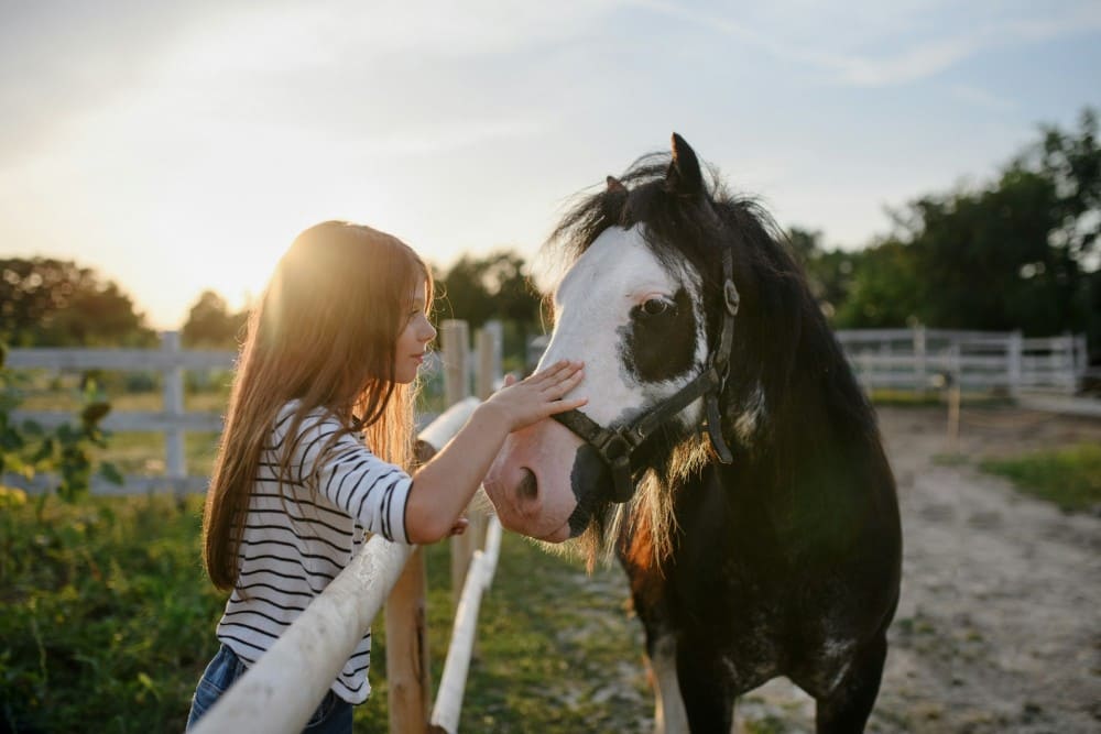 Petite fille qui caresse un poney