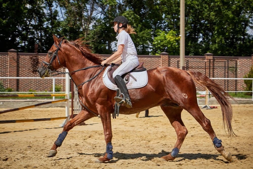 Cavalière dans une carrière à cheval