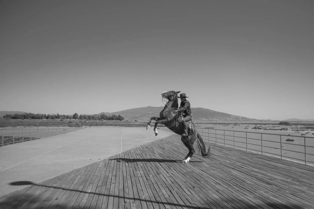 Cow boy sur un cheval qui se cabre mal au dos