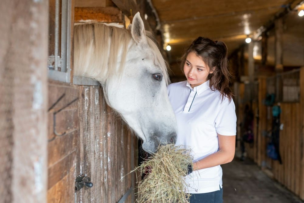 Cavalière qui donne du foin à son cheval au box