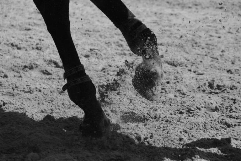 Pourquoi un cheval gratte-t-il le sol ? Signification, causes et solutions